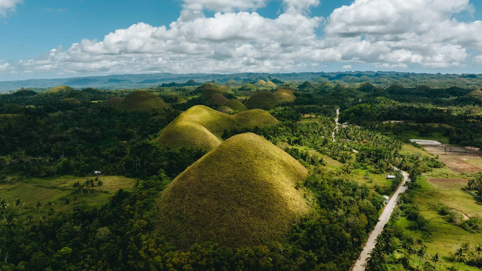 Vue panoramique sur les collines coniques des Chocolate Hills à Bohol aux Philippines