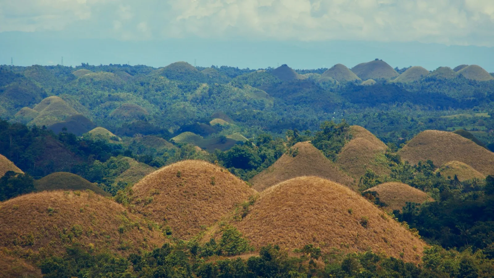 Jours 3-6 : Bohol, la base idéale pour les enfants