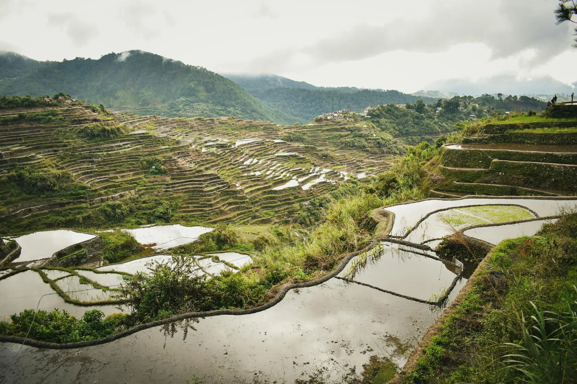Comment rejoindre Banaue depuis Manille